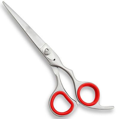 Barber Scissors